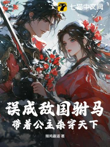 误成敌国驸马，带着公主杀穿天下！